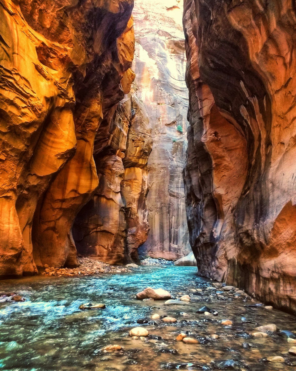 The Narrows in Zion National Park, with a river between tall sandstone walls